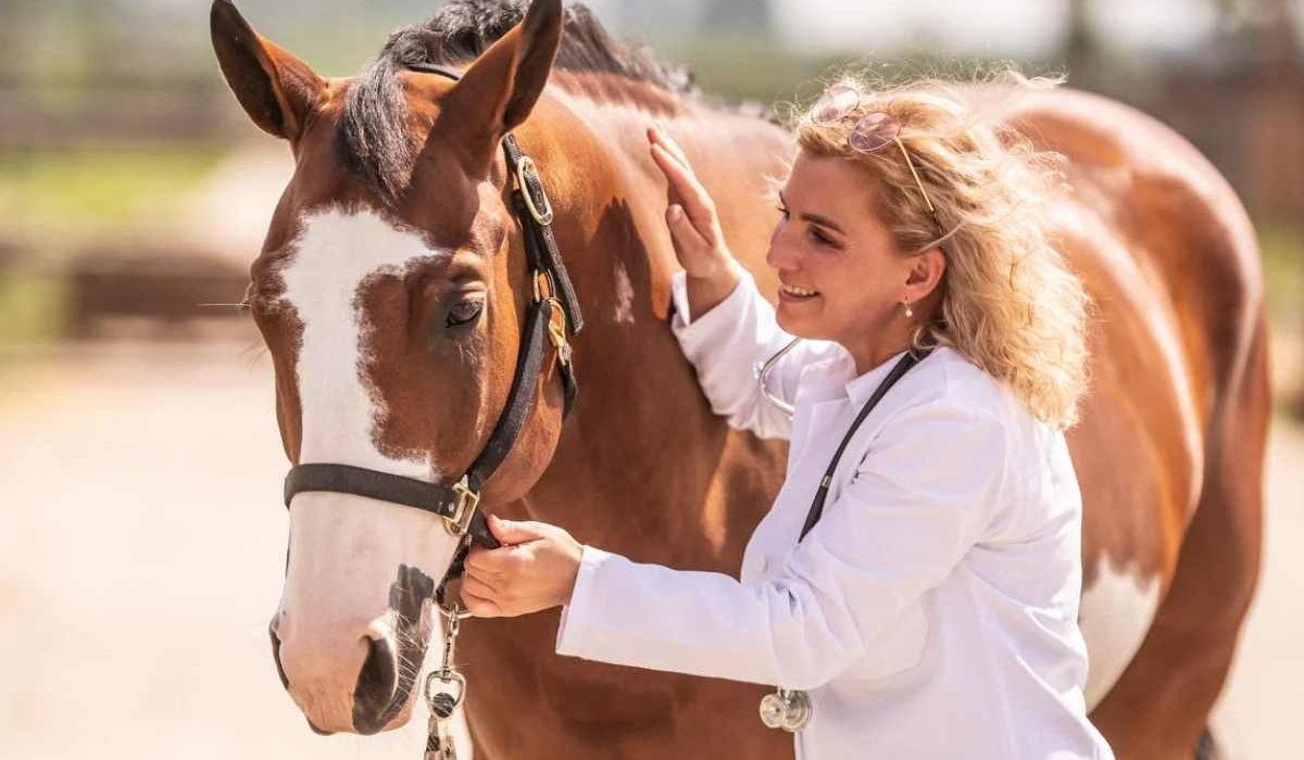 L-glutamine and zinc nutrients for equine gut health