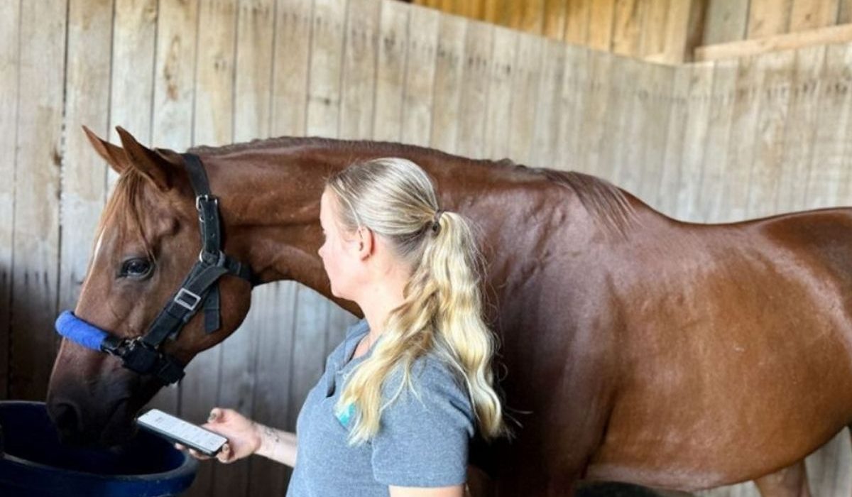 Smart Horse Care and Equine Rehabilitation Expo 2026 showcasing advanced horse health technology