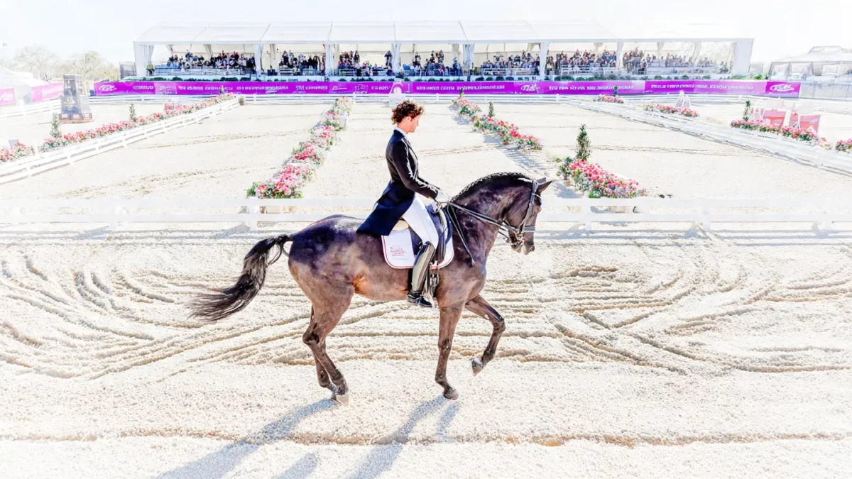 Wellington Classic Winter Challenge 2025 Dressage at Jim Brandon