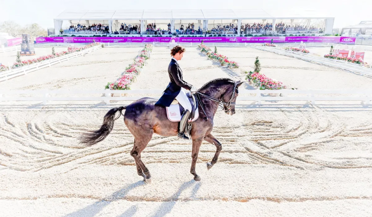 Wellington Classic Winter Challenge 2025 Dressage at Jim Brandon