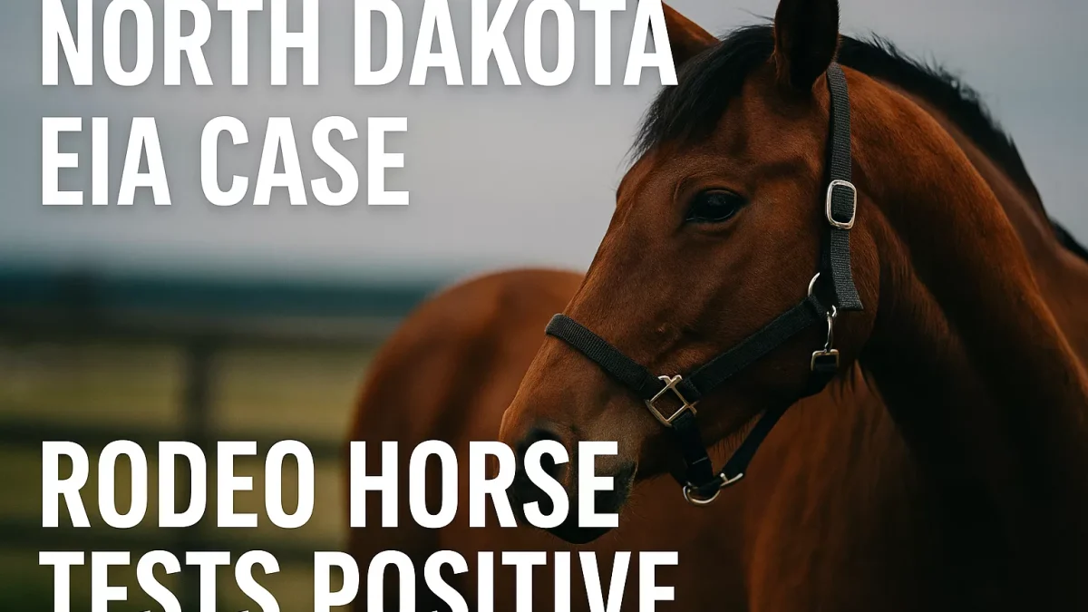 North Dakota EIA Case