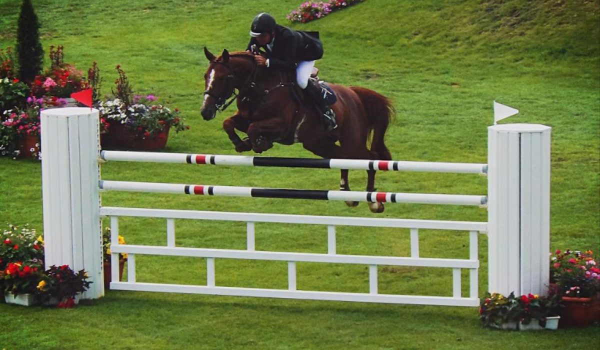 Show jumping horse and rider clearing a fence at a competition